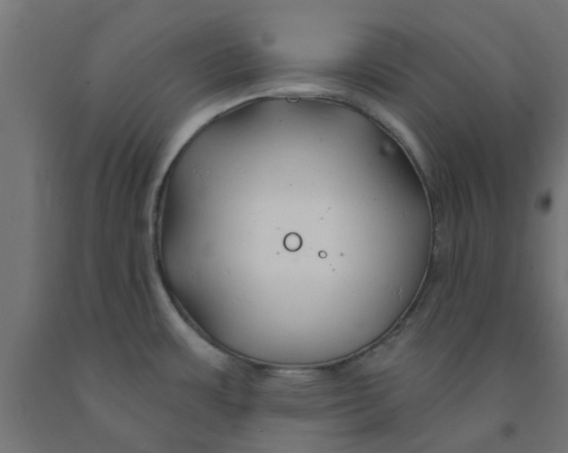 X0000090891483200708241951