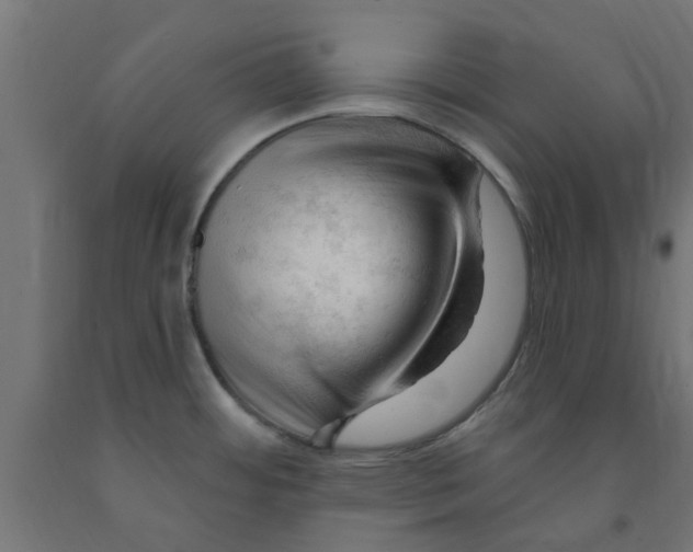 X0000090891484200708241951