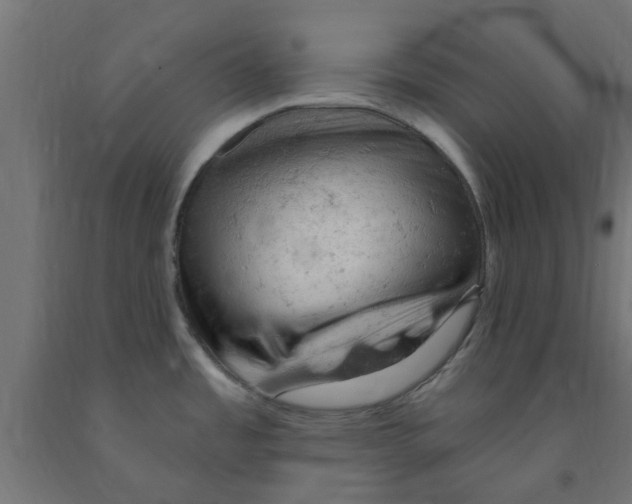 X0000090891485200708241951