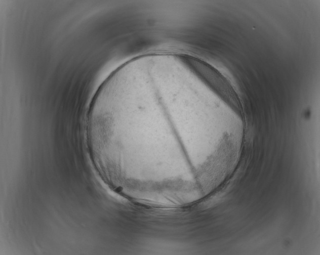 X0000090891486200708241951