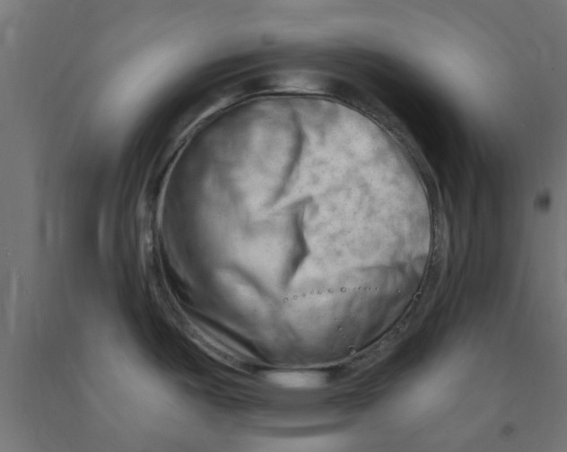 X0000090891487200708241951