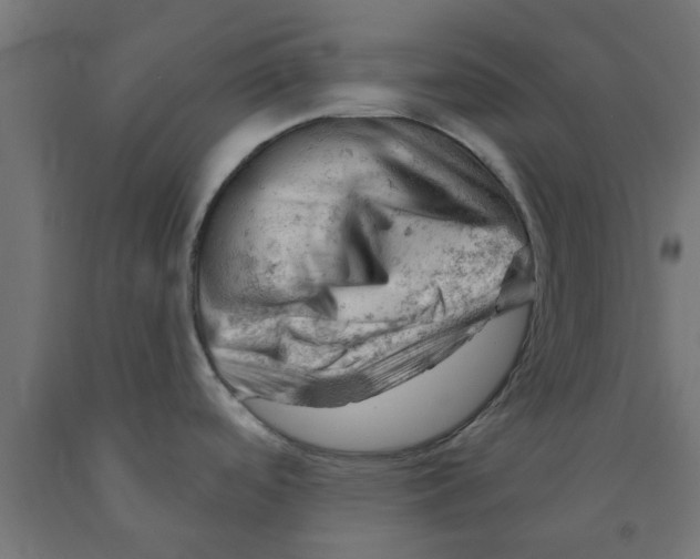 X0000090891488200708241951