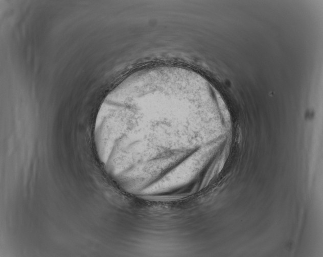 X0000090891489200708241950