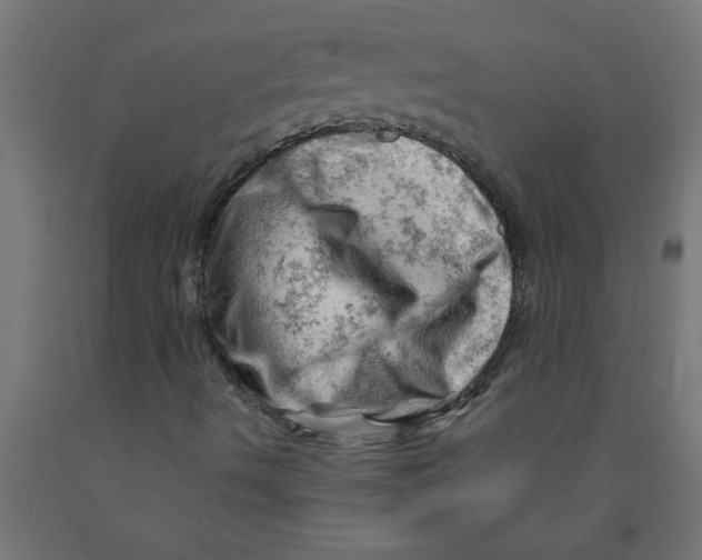 X0000090891490200708241950