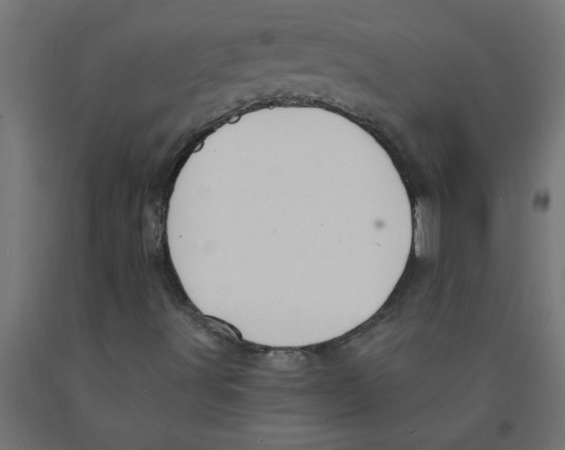 X0000090891491200708241950