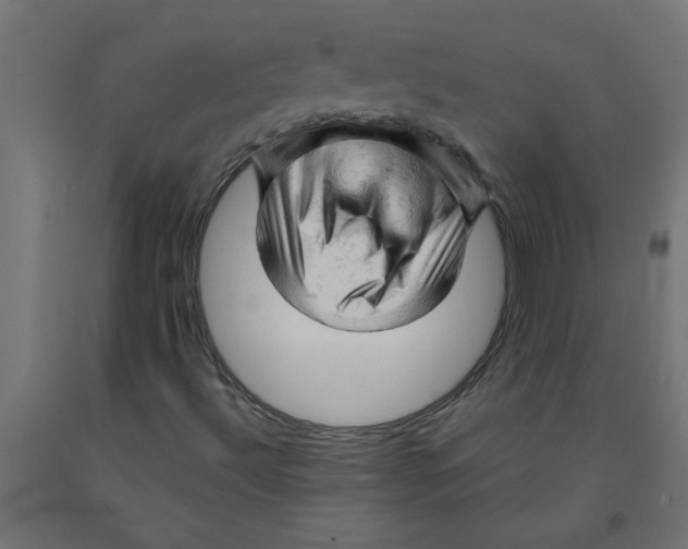 X0000090891492200708241950