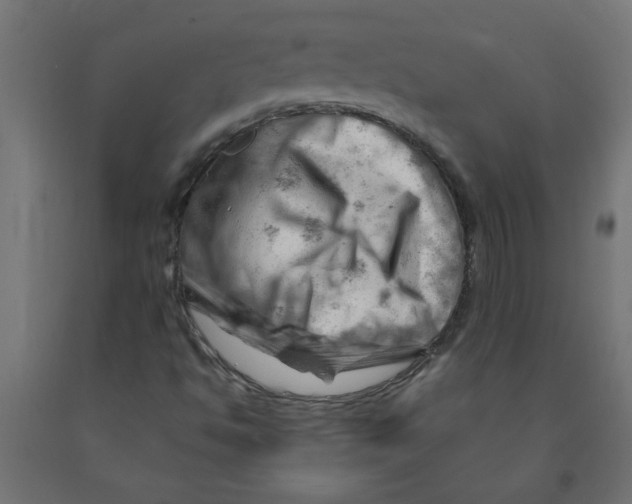 X0000090891494200708241950