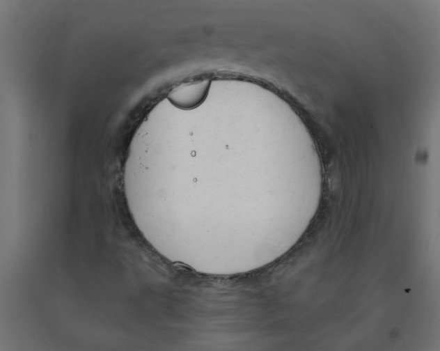 X0000090891495200708241950