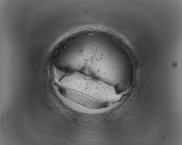 X0000090891496200708241950