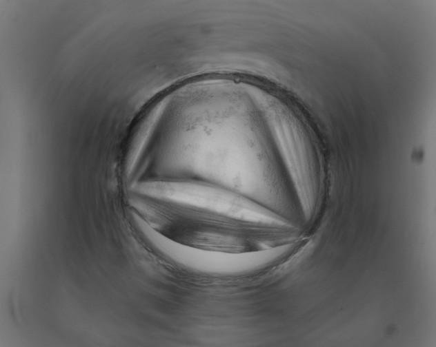 X0000090891497200708241950