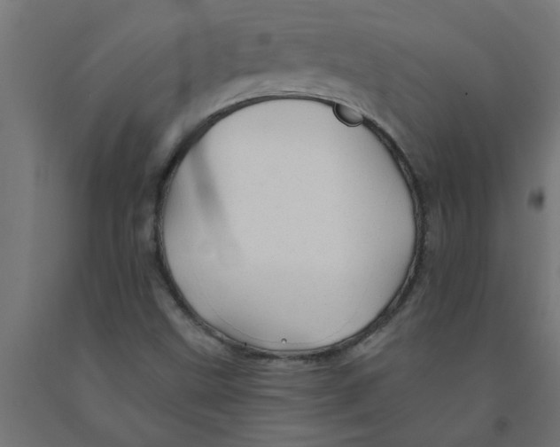 X0000090891499200708241950