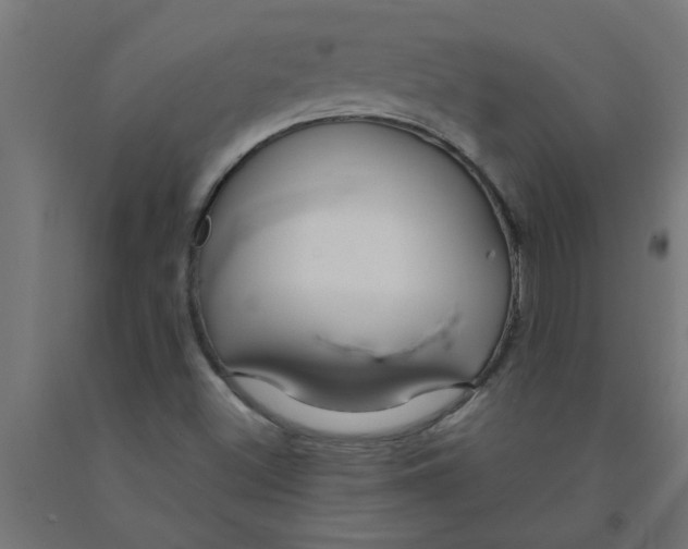 X0000090891500200708241950