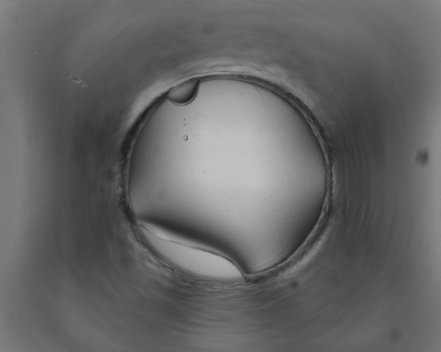 X0000090891501200708241950