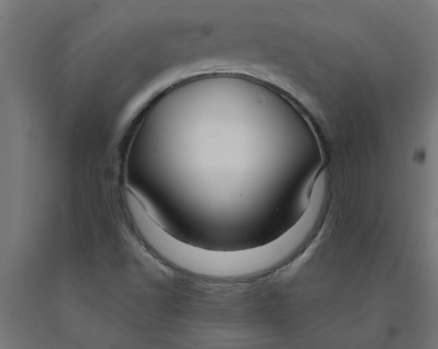 X0000090891502200708241950