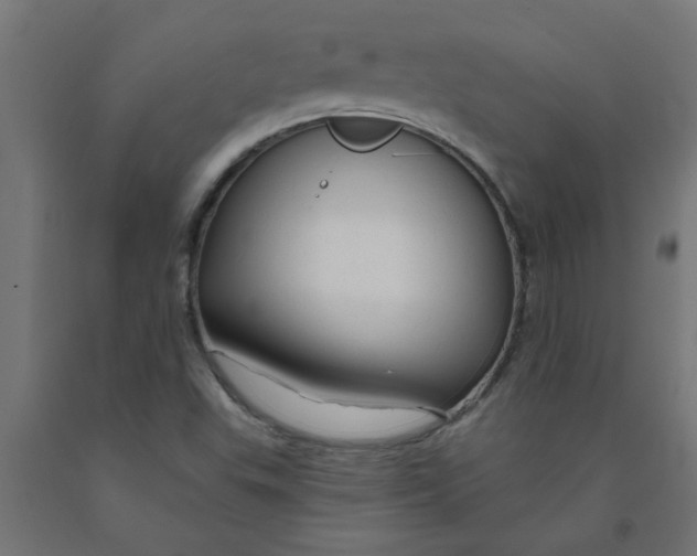 X0000090891503200708241950