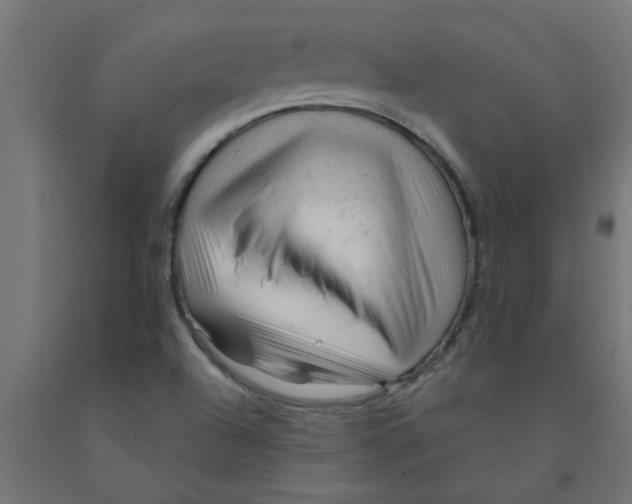 X0000090891504200708241950