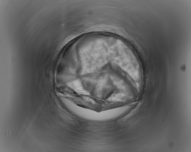 X0000090891505200708241950