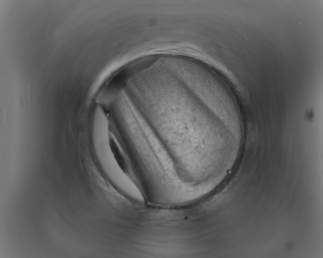 X0000090891506200708241950