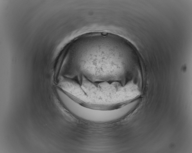 X0000090891507200708241950