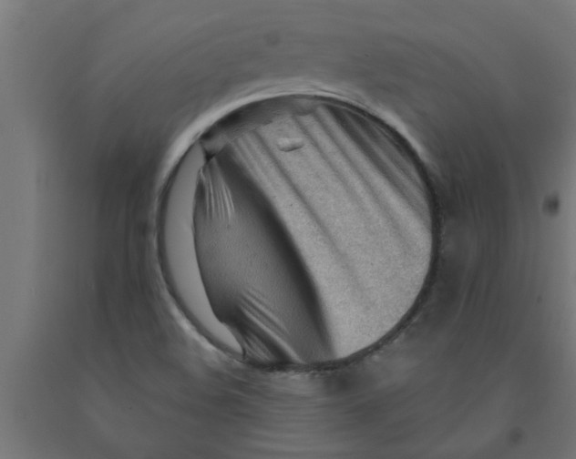 X0000090891508200708241950