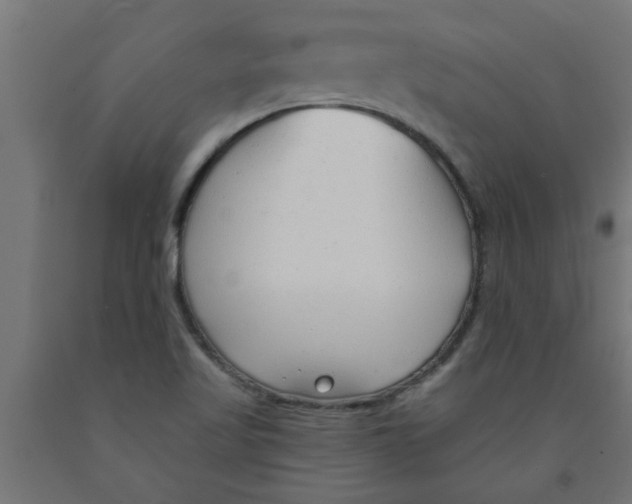 X0000090891509200708241950