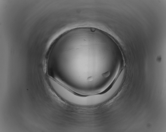 X0000090891510200708241950