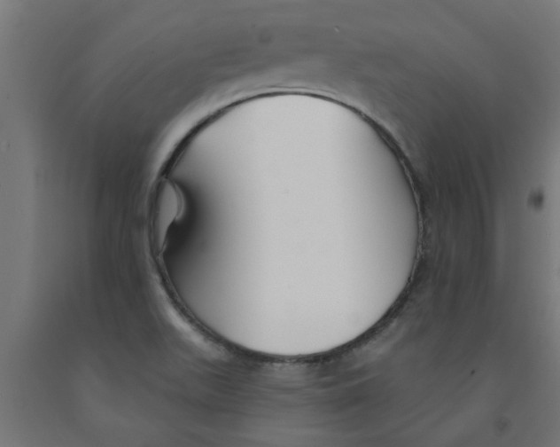 X0000090891511200708241950