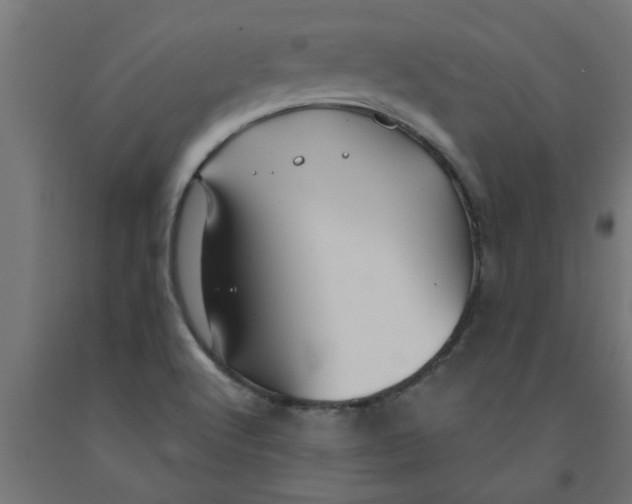 X0000090891512200708241950