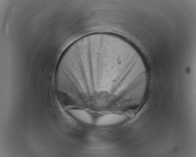 X0000090891513200708241950