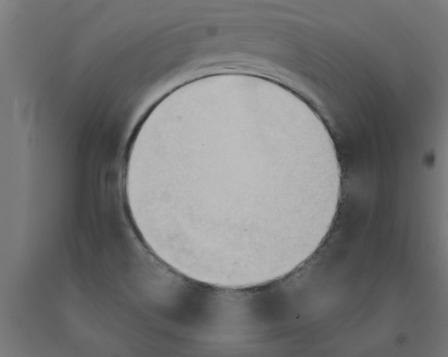 X0000090891514200708241950