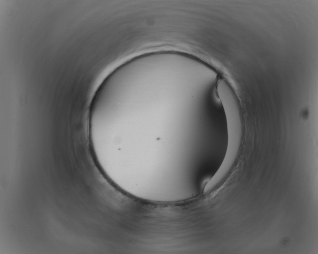 X0000090891516200708241950