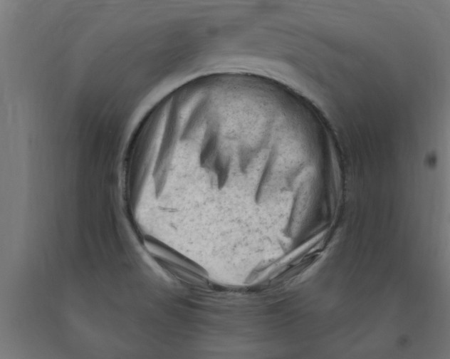 X0000090891517200708241950