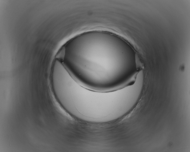 X0000090891518200708241951