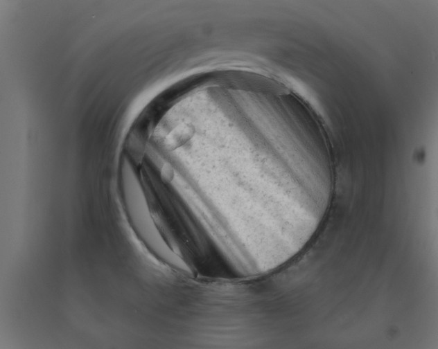 X0000090891520200708241951