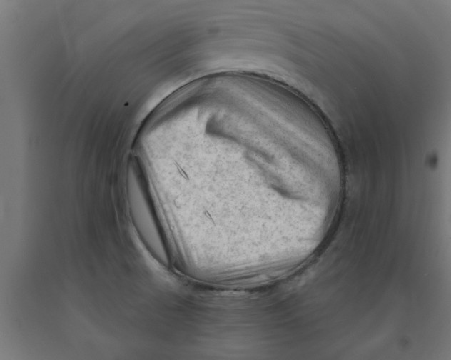 X0000090891521200708241951