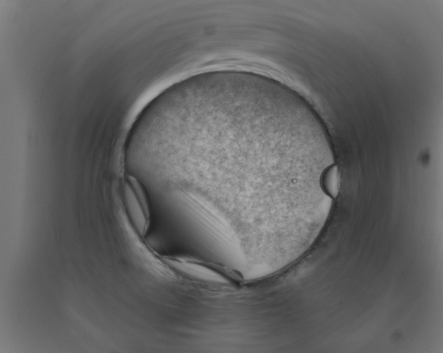 X0000090891522200708241951