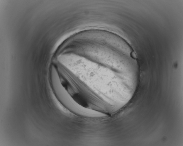 X0000090891523200708241951