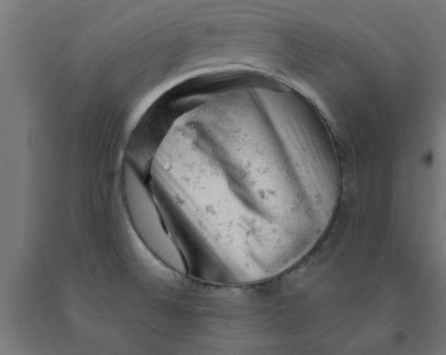 X0000090891524200708241951