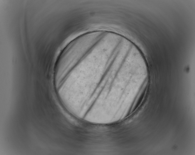 X0000090891525200708241951