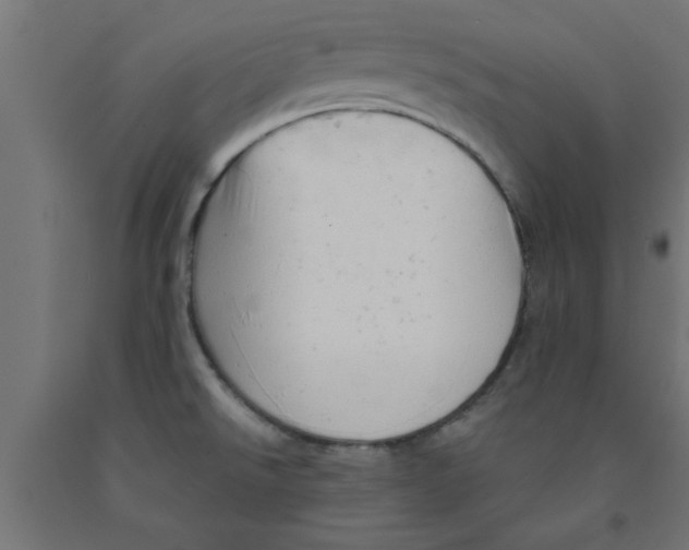 X0000090891526200708241951