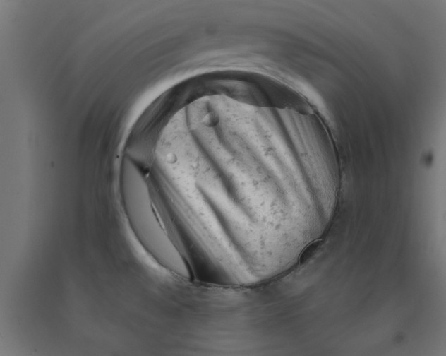 X0000090891528200708241951