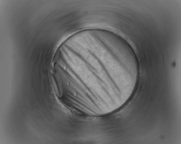 X0000090891529200708241951