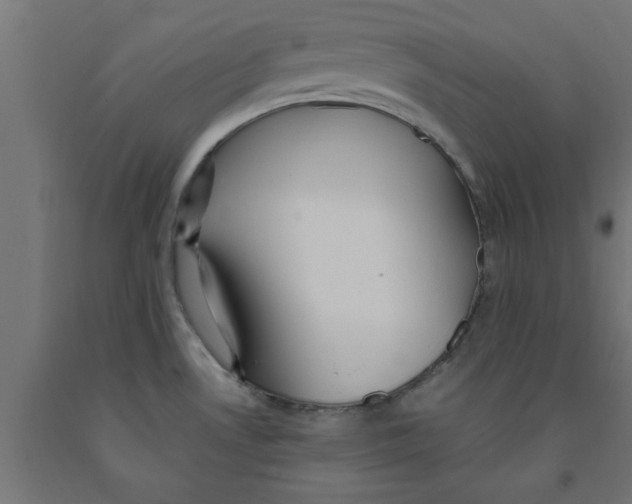 X0000090891530200708241951