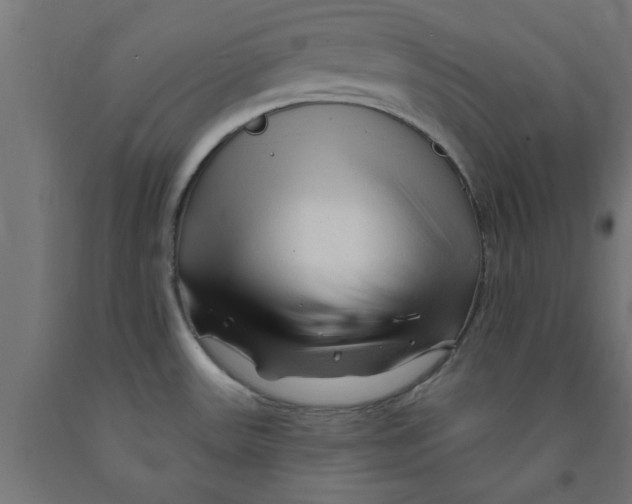 X0000090891531200708241951