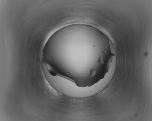 X0000090891532200708241951