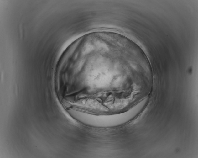 X0000090891533200708241951