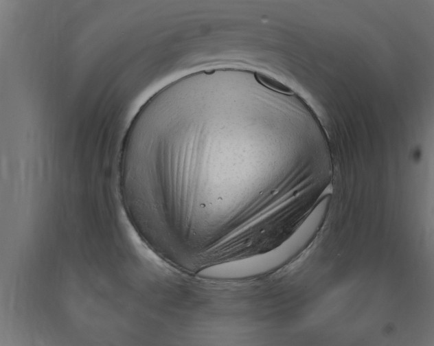 X0000090891534200708241951