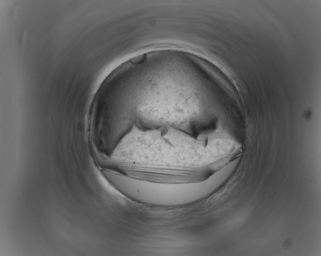 X0000090891535200708241951