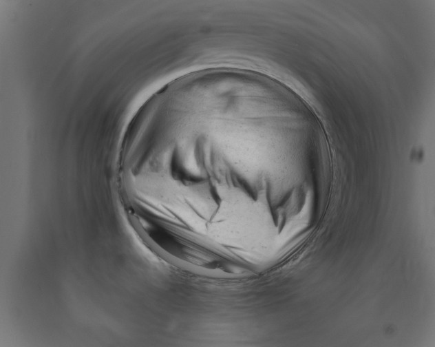 X0000090891536200708241951