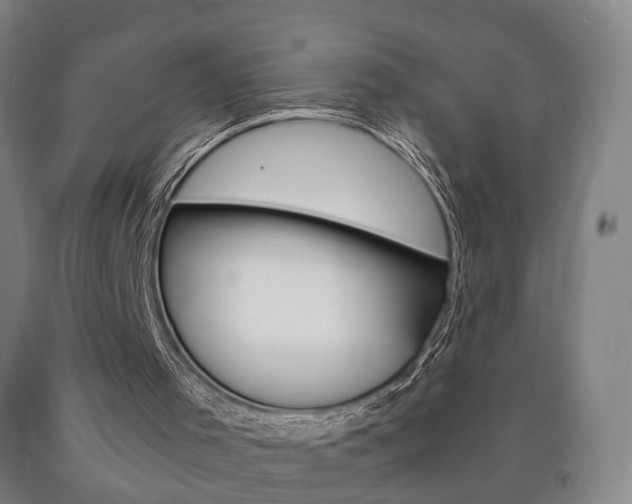 X0000090900001200707301021